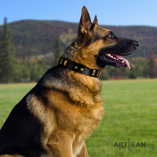 German-Shepherd Dog amazing adorned genuine leather dog collar for easy wearing