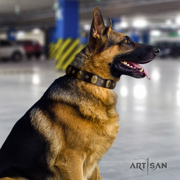 German-Shepherd Dog stylish design studded natural leather dog collar for comfortable wearing