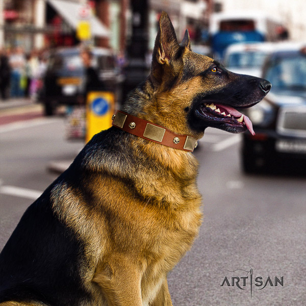 German-Shepherd Dog inimitable adorned leather dog collar for walking
