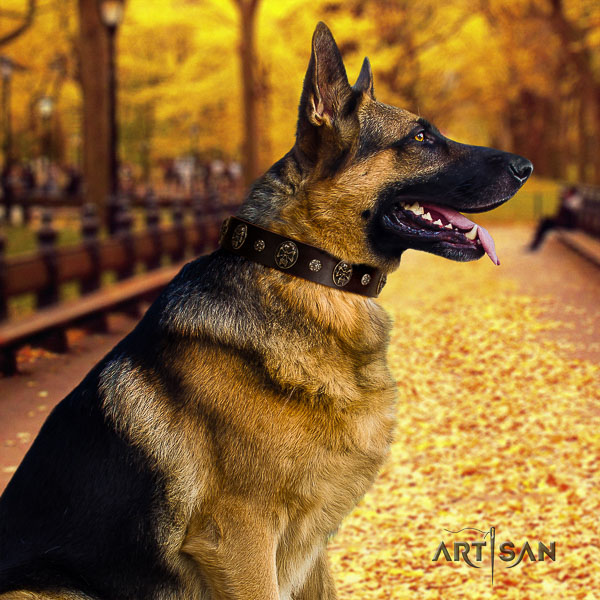 German-Shepherd Dog unusual decorated full grain genuine leather dog collar for handy use