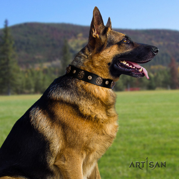 German-Shepherd Dog exquisite embellished natural leather dog collar for comfortable wearing