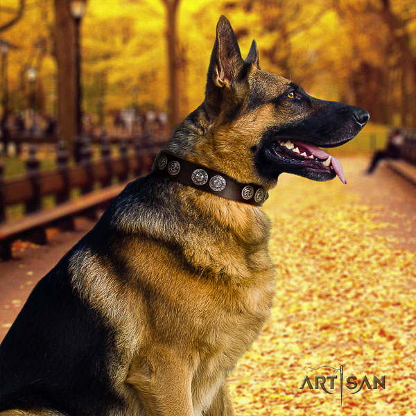 German-Shepherd Dog incredible decorated full grain leather dog collar for everyday use