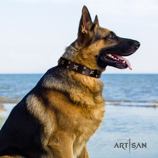 German-Shepherd Dog designer adorned full grain genuine leather dog collar for stylish walking