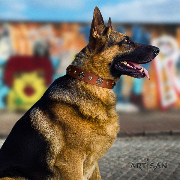 German-Shepherd Dog trendy embellished leather dog collar for everyday walking