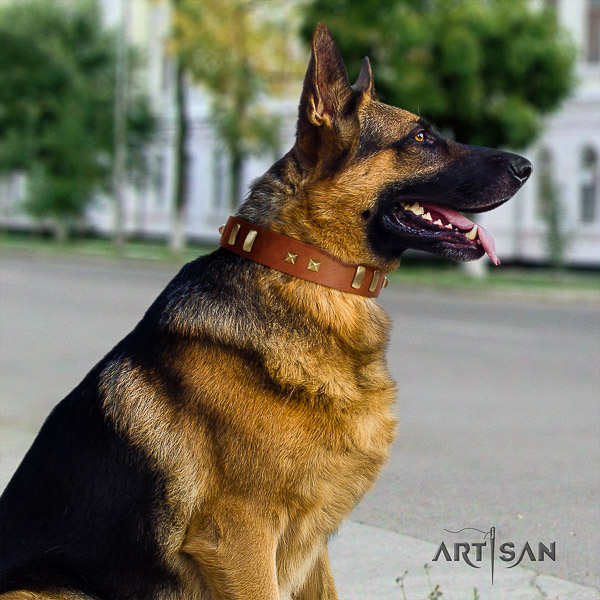 German-Shepherd Dog stylish studded full grain genuine leather dog collar for easy wearing