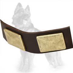 Leather German-Shepherd Dog Collar Equipped With Nickel Covered Hardware