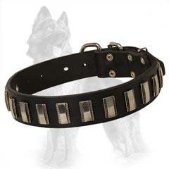 German-Shepherd Leather Dog Collar with Nickel Covered  Fittings