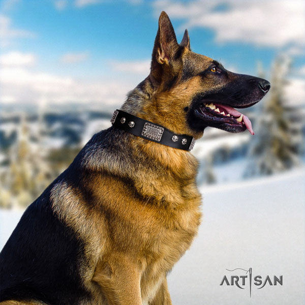 German-Shepherd easy to adjust collar with extraordinary studs for your doggie