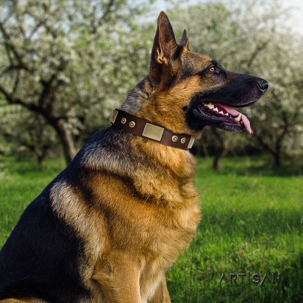 German-Shepherd best quality collar with remarkable studs for your pet