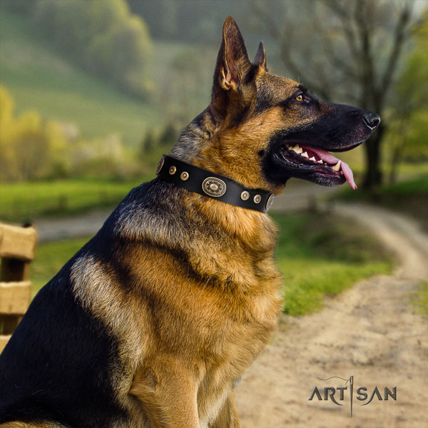 German-Shepherd easy to adjust collar with top notch studs for your doggie