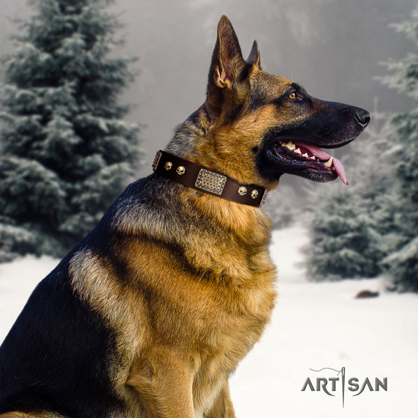 German-Shepherd perfect fit collar with top notch studs for your pet