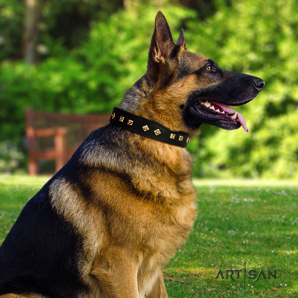 German-Shepherd comfortable collar with remarkable adornments for your doggie