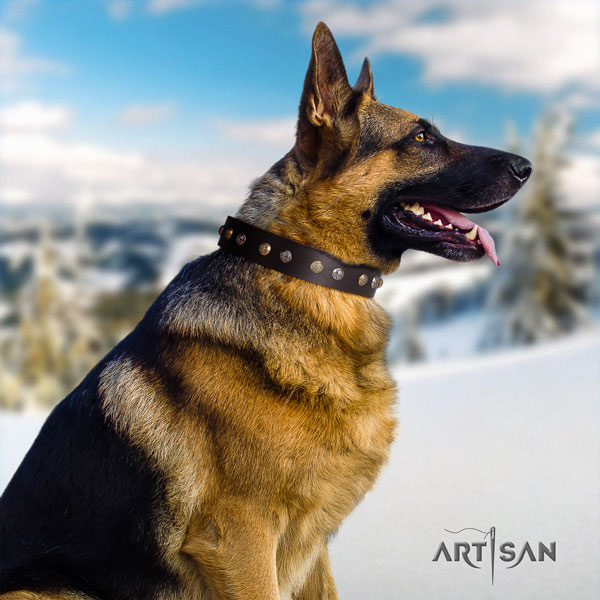 German-Shepherd comfortable collar with unusual adornments for your dog
