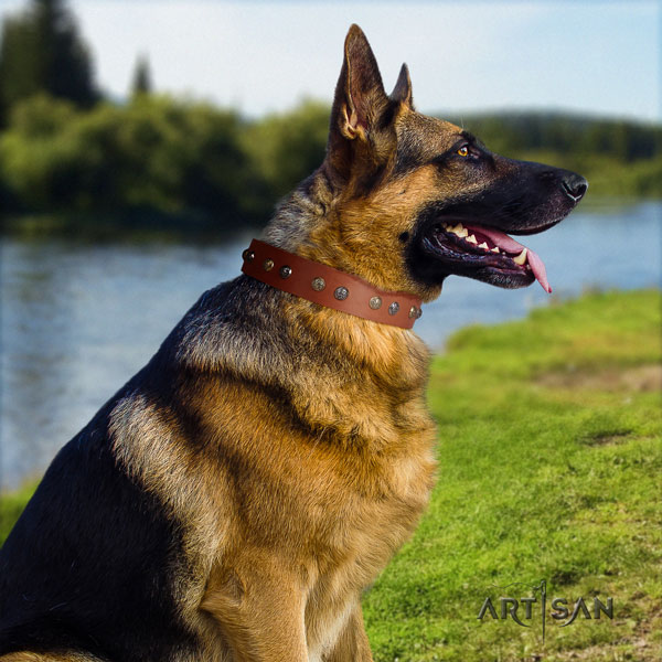 German-Shepherd adjustable collar with unusual decorations for your dog