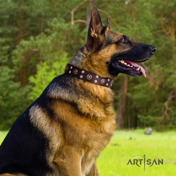 German-Shepherd top quality collar with impressive studs for your doggie
