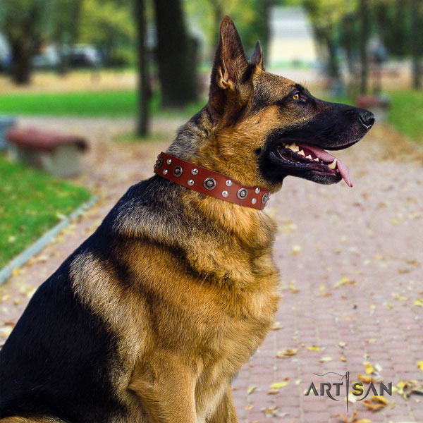 German-Shepherd adjustable collar with inimitable embellishments for your canine