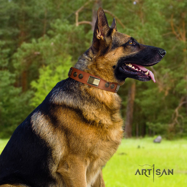 German-Shepherd fine quality collar with significant studs for your doggie