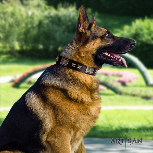 German-Shepherd easy adjustable collar with exceptional studs for your doggie