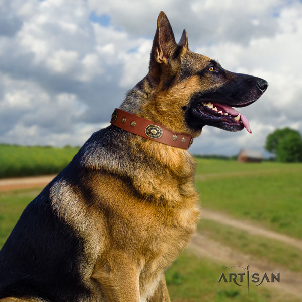 German-Shepherd handmade collar with unusual embellishments for your canine