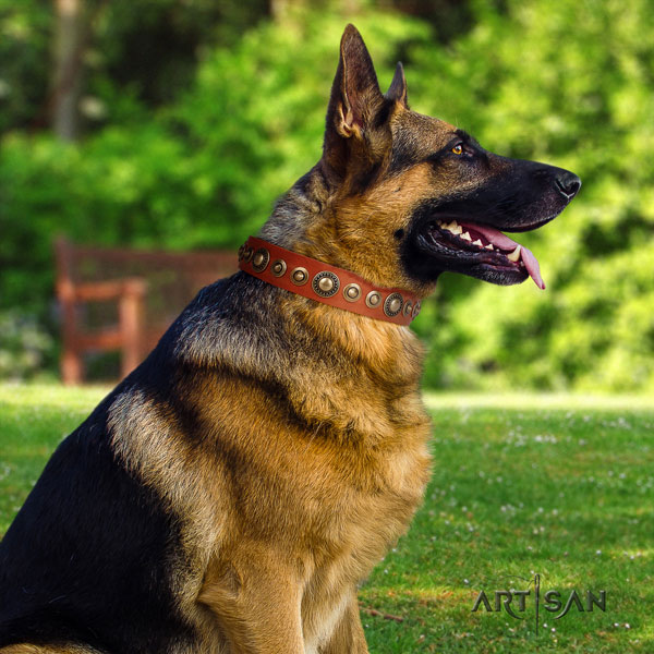 German-Shepherd easy to adjust collar with unusual studs for your pet
