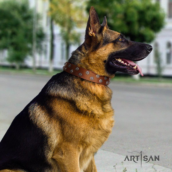German-Shepherd top quality full grain genuine leather collar with studs for your canine