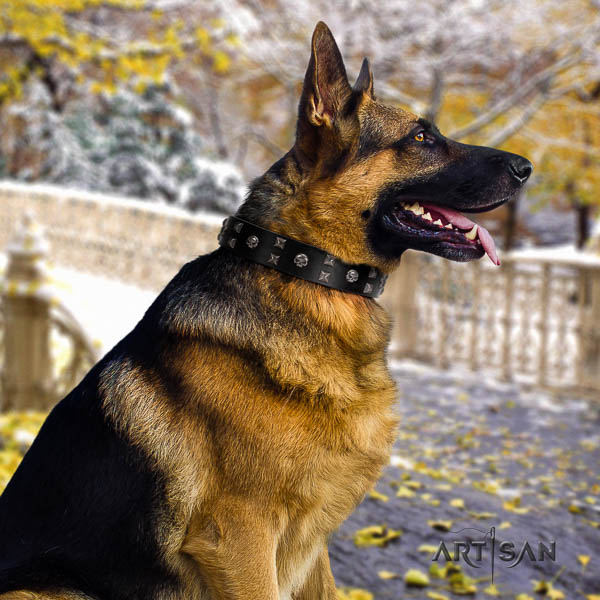 German-Shepherd perfect fit full grain leather collar with studs for your dog