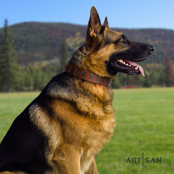 German-Shepherd exquisite full grain natural leather collar with decorations for your dog