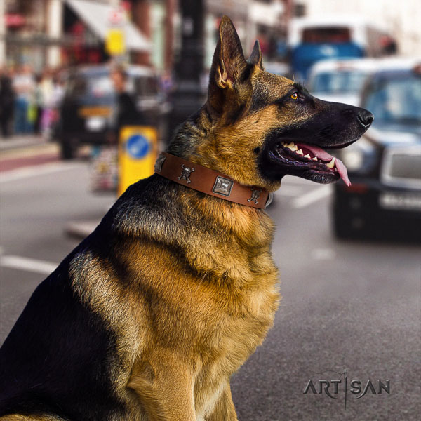 German-Shepherd awesome full grain genuine leather collar with embellishments for your pet