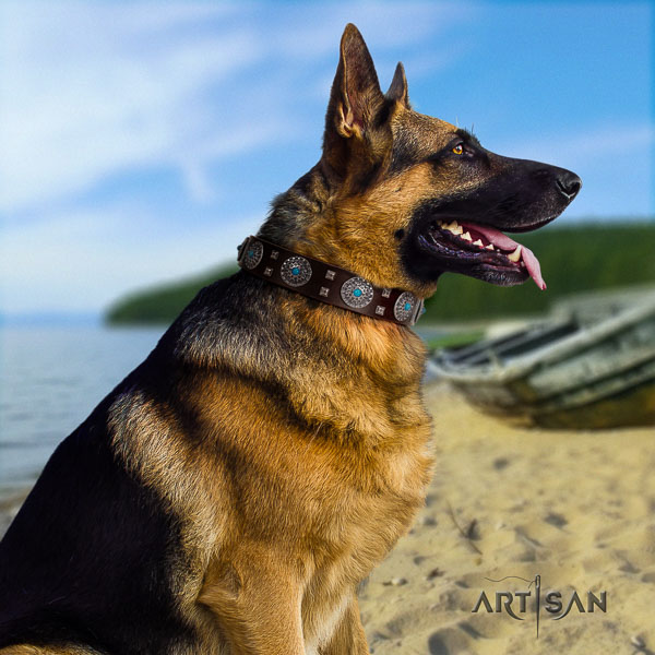 German-Shepherd handcrafted full grain natural leather collar with studs for your pet
