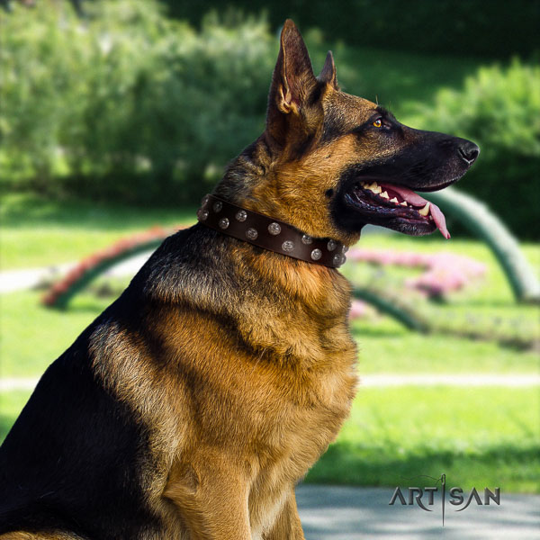 German-Shepherd adjustable full grain genuine leather collar with embellishments for your canine