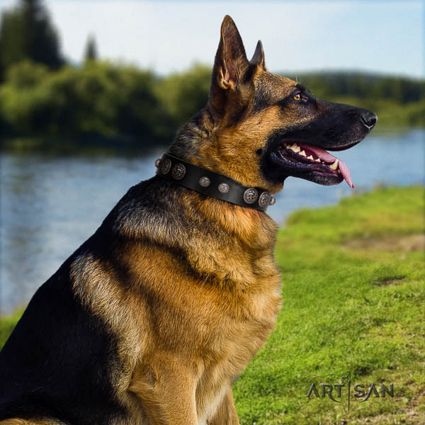 German-Shepherd impressive genuine leather collar with adornments for your four-legged friend