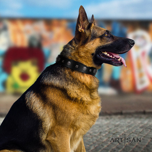 German-Shepherd incredible full grain genuine leather collar with embellishments for your pet