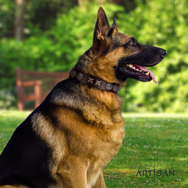 German-Shepherd easy wearing natural genuine leather collar with studs for your four-legged friend