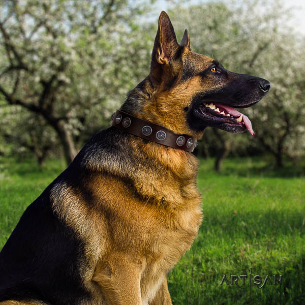 German-Shepherd adjustable leather collar with adornments for your four-legged friend