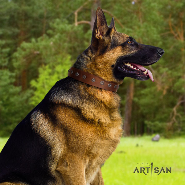 German-Shepherd impressive natural genuine leather collar with adornments for your dog