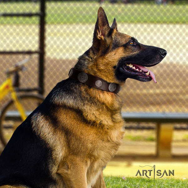 German-Shepherd top notch full grain natural leather collar with embellishments for your four-legged friend