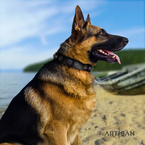 German-Shepherd exceptional full grain leather collar with adornments for your four-legged friend