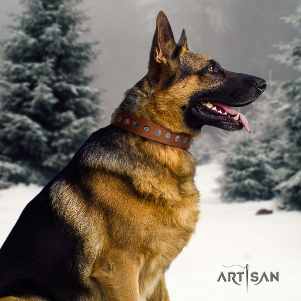 German-Shepherd awesome full grain natural leather collar with embellishments for your four-legged friend