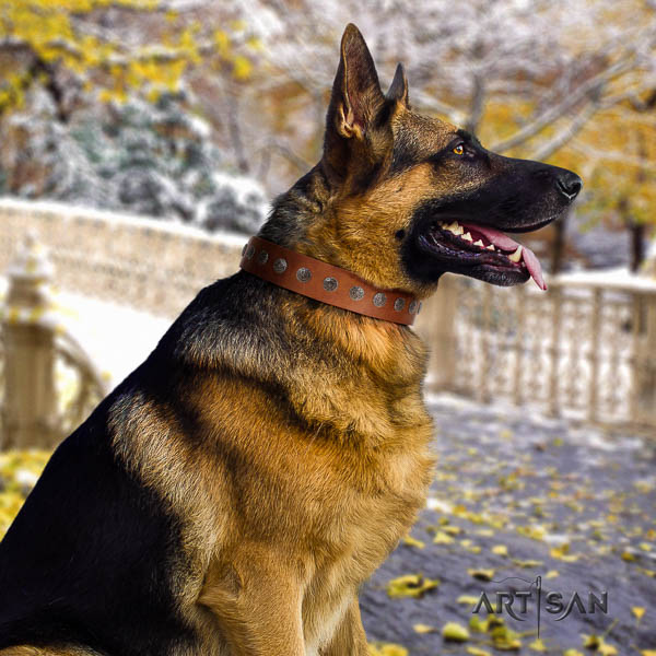 German-Shepherd fine quality leather collar with embellishments for your four-legged friend