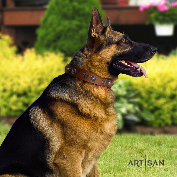 German-Shepherd easy to adjust genuine leather collar with embellishments for your dog
