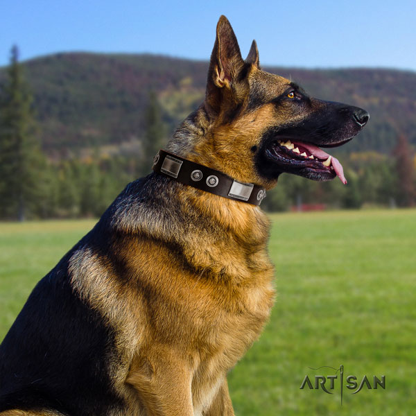 German-Shepherd best quality collar with top notch embellishments for your pet
