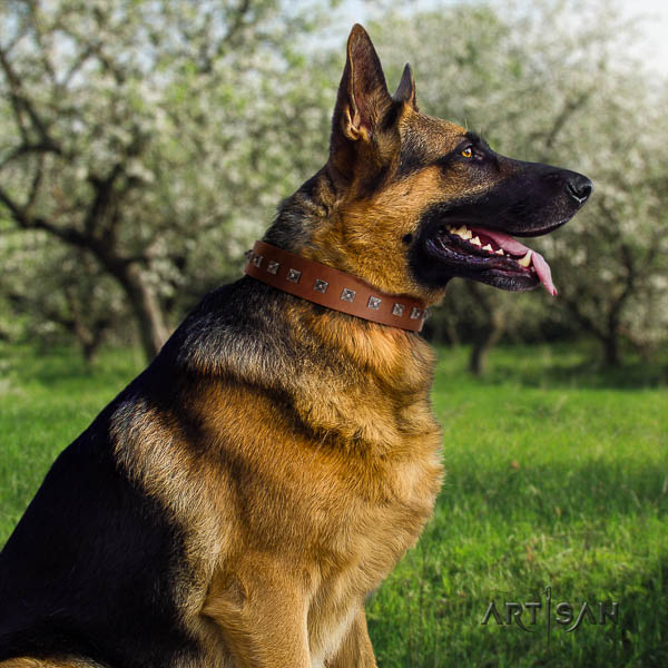 German-Shepherd stylish design natural genuine leather collar with embellishments for your four-legged friend