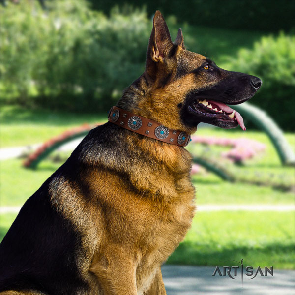 German-Shepherd best quality full grain leather collar with decorations for your canine
