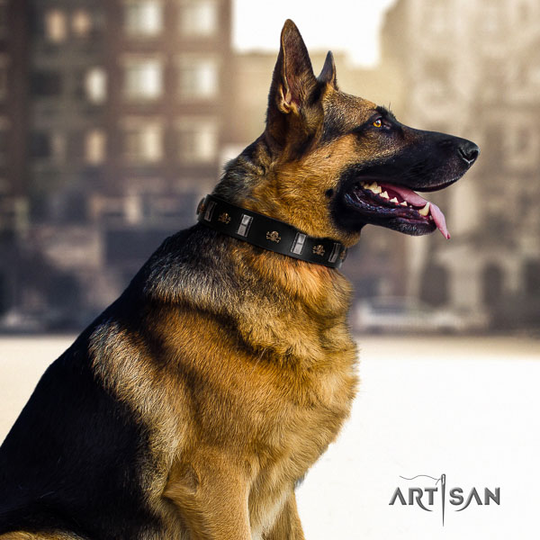 German-Shepherd exceptional natural genuine leather collar with adornments for your four-legged friend