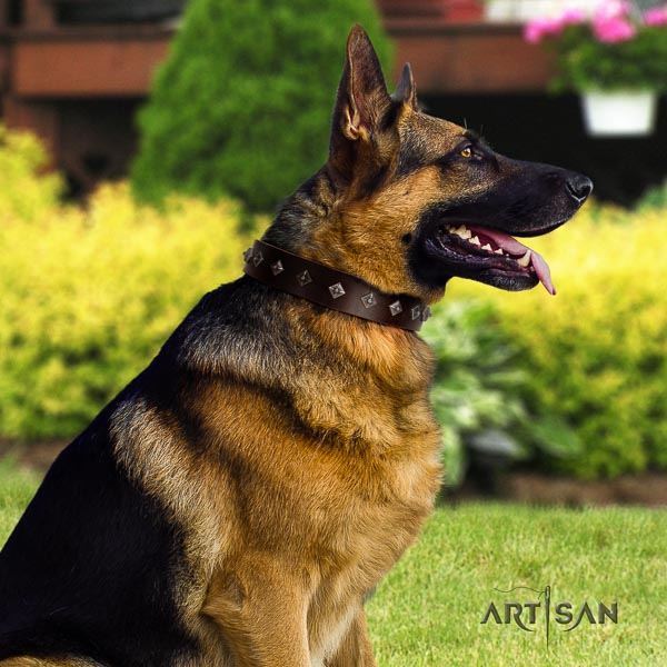 German-Shepherd convenient full grain leather collar with adornments for your four-legged friend