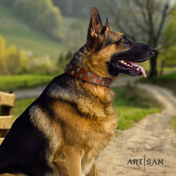 German-Shepherd stunning genuine leather collar with adornments for your pet