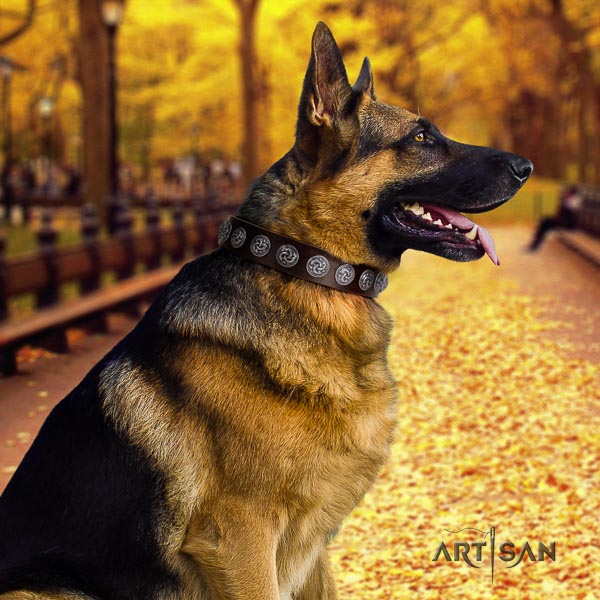 German-Shepherd fashionable natural genuine leather collar with adornments for your four-legged friend