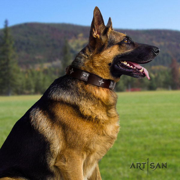 German-Shepherd easy adjustable full grain leather collar with embellishments for your dog