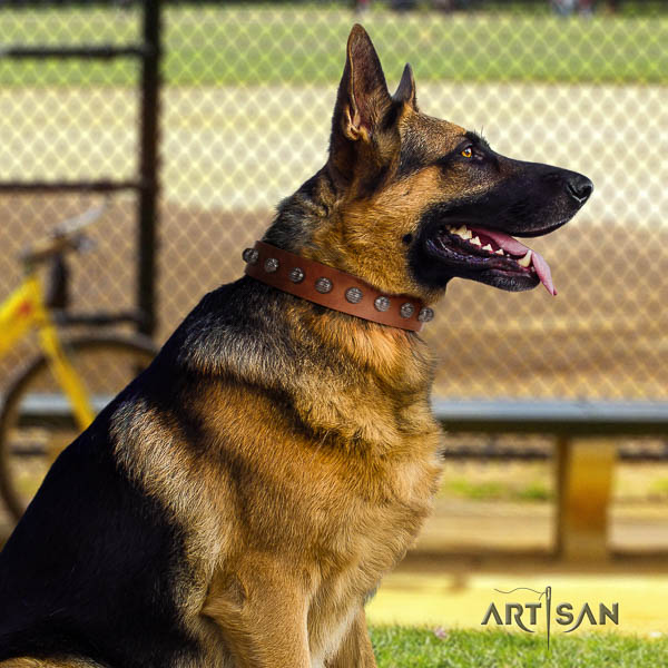 German-Shepherd impressive full grain natural leather collar with embellishments for your pet