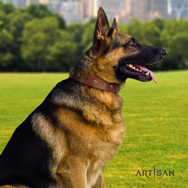 German-Shepherd awesome full grain natural leather collar with adornments for your four-legged friend